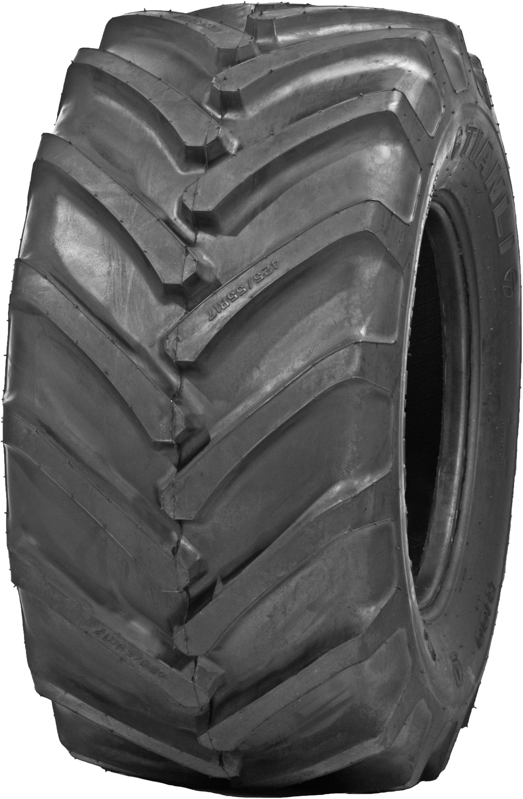 TIANLI R100 425/55 R 17 134D