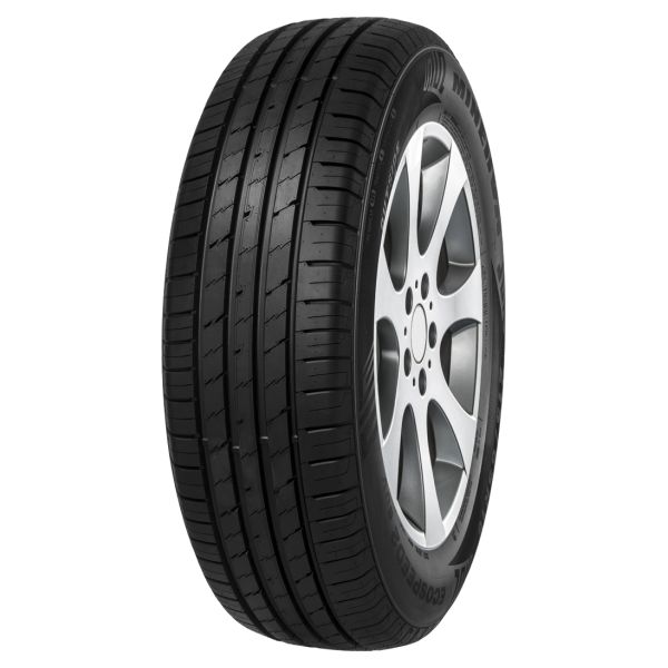 MINERVA ECOSPEED 255/55 R 18 109W