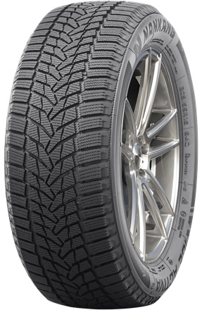 NANKANG ICE ACTIVA ICE 2 205/55 R 16 94T