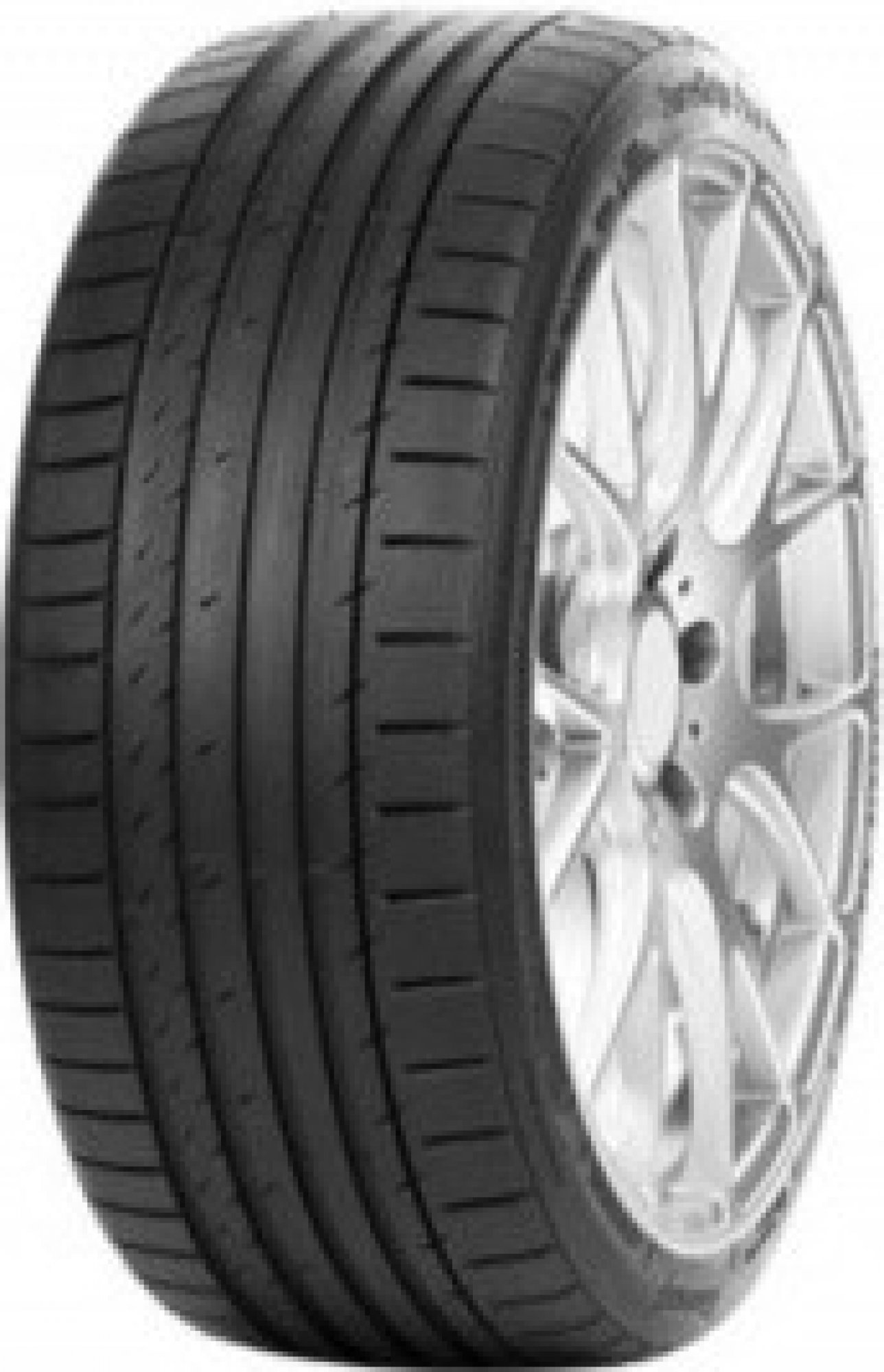 GRIPMAX SUREGRIP PRO SPORT 225/50 R 19 100Y