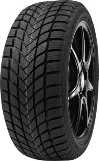 DELINTE WINTER WD6 245/45 R 18 100V