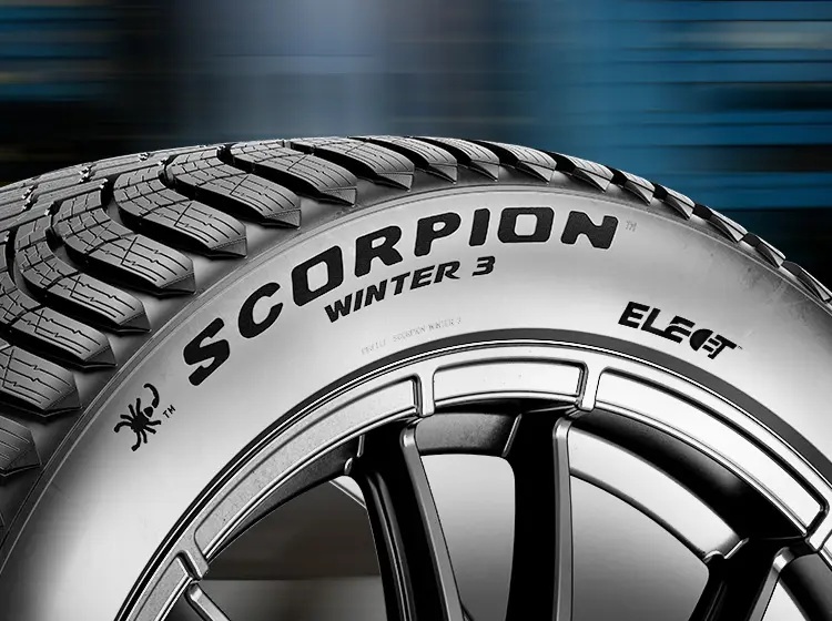Scorpion-Winter3