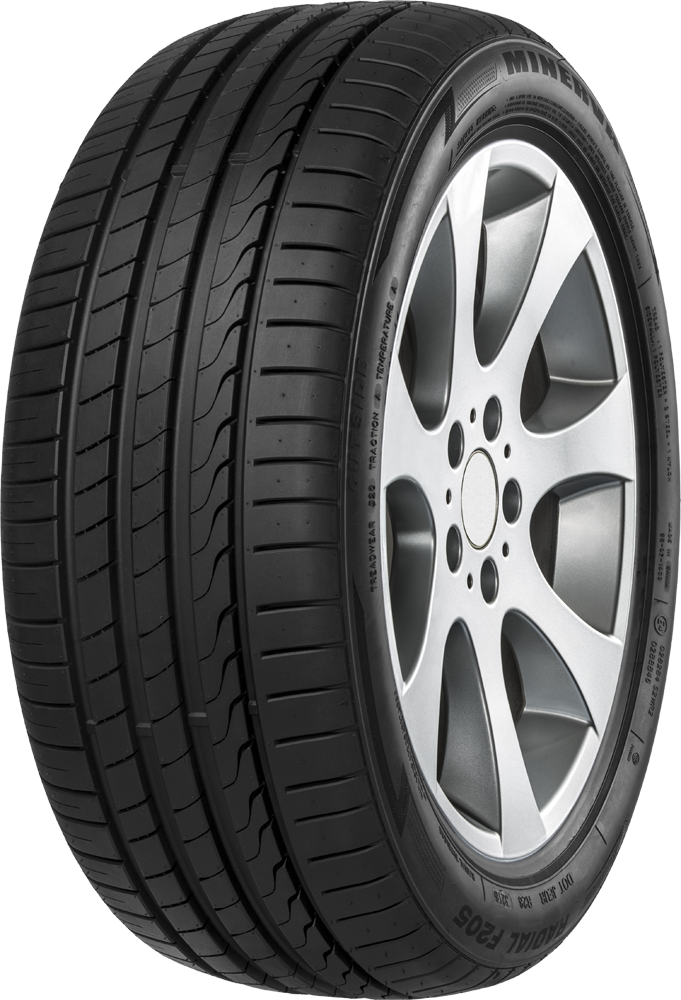 MINERVA F205 255/40 R 17 94W