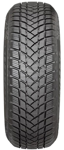 GT Radial WinterPro2 – dezén